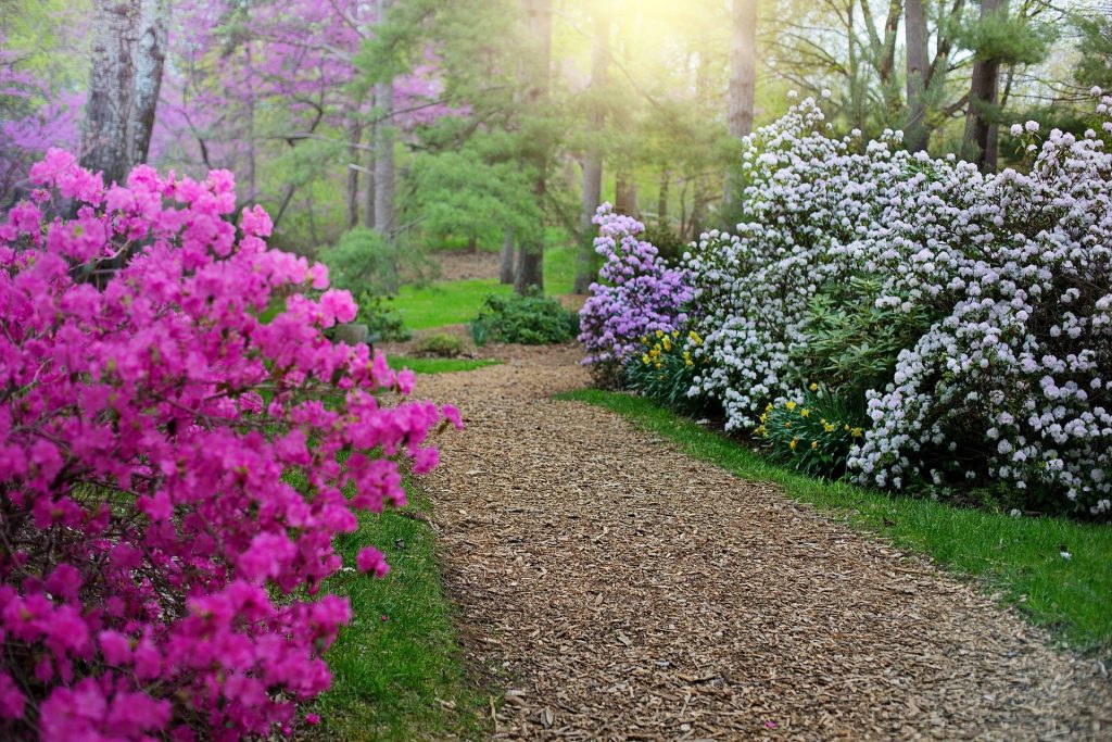Niagara Parks Botanical Gardens & Butterfly Conservatory